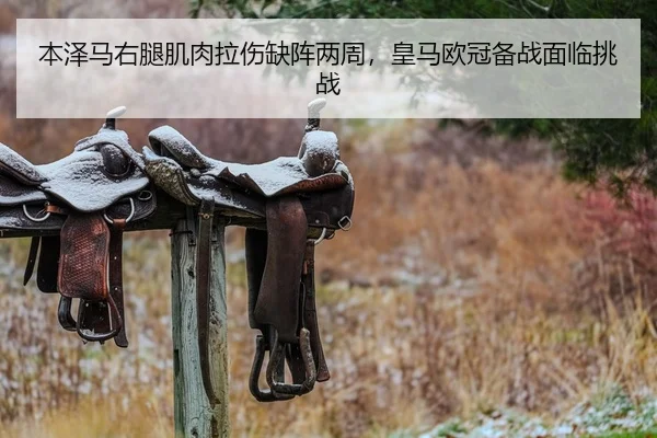 本泽马右腿肌肉拉伤缺阵两周，皇马欧冠备战面临挑战